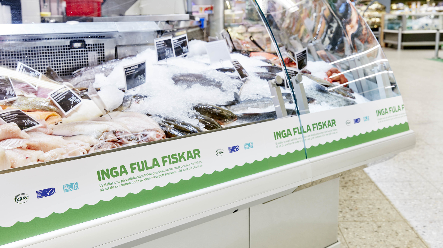 Coop inleder arbetet för MSC-certifiering av alla fiskdiskar