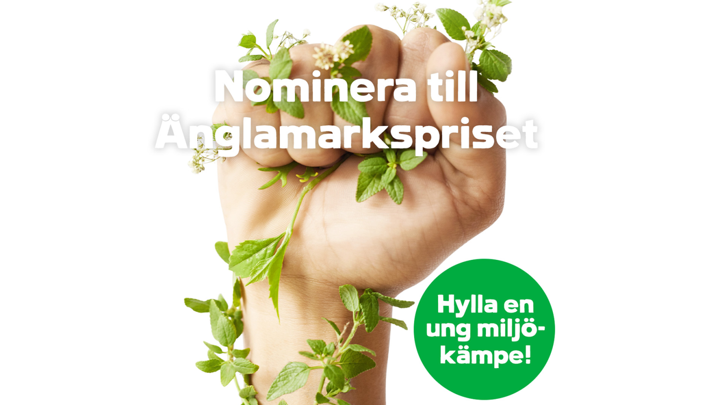 Änglamarkspriset lyfter ungas arbete för en bättre miljö – nominera nu